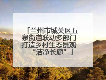 兰州市城关区五泉街道联动多部门打造乡村生态景观“洁净长廊”