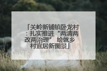 关岭新铺镇卧龙村：扎实推进“两清两改两治理” 绘就乡村宜居新图景