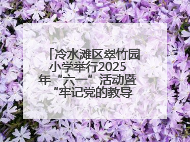 冷水滩区翠竹园小学举行2025年“六一”活动暨“牢记党的教导 争做强国少年”新队员入队仪式