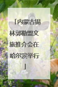 内蒙古锡林郭勒盟文旅推介会在哈尔滨举行