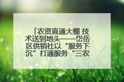 农资直通大棚 技术送到地头——岱岳区供销社以“服务下沉”打通服务“三农”最后一公里