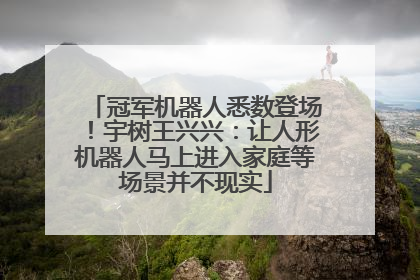冠军机器人悉数登场！宇树王兴兴：让人形机器人马上进入家庭等场景并不现实