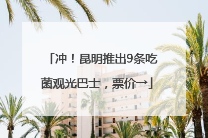 冲！昆明推出9条吃菌观光巴士，票价→