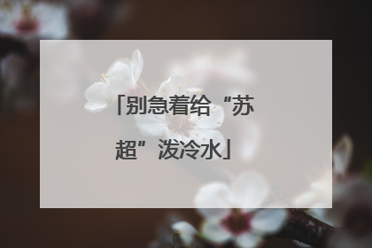 别急着给“苏超”泼冷水