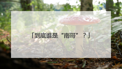 到底谁是“南哥”？