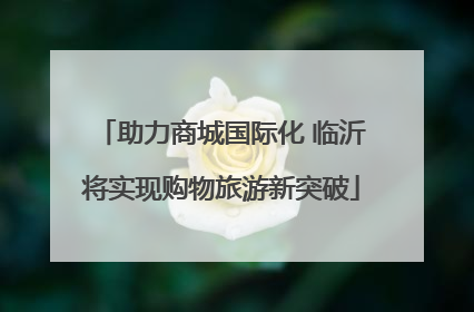 助力商城国际化 临沂将实现购物旅游新突破