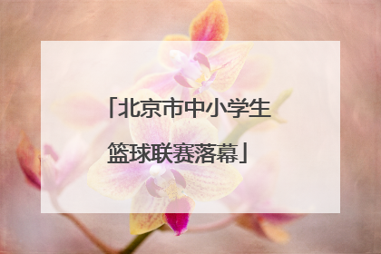 北京市中小学生篮球联赛落幕
