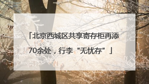 北京西城区共享寄存柜再添70余处，行李“无忧存”