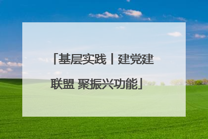 基层实践丨建党建联盟 聚振兴功能