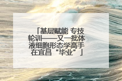基层赋能 专技轮训——又一批体液细胞形态学高手在宜昌“毕业”