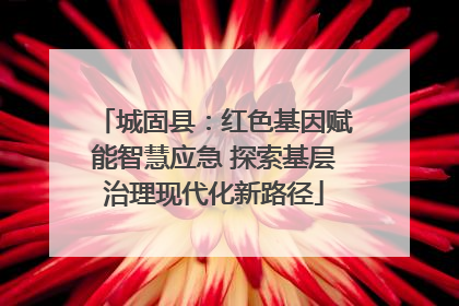 城固县：红色基因赋能智慧应急 探索基层治理现代化新路径