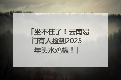 坐不住了！云南易门有人捡到2025年头水鸡枞！