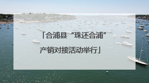 合浦县“珠还合浦”产销对接活动举行