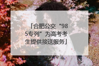 合肥公交“985专列”为高考考生提供接送服务