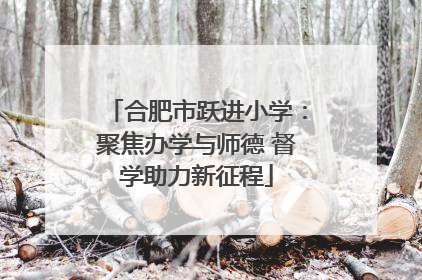 合肥市跃进小学：聚焦办学与师德 督学助力新征程
