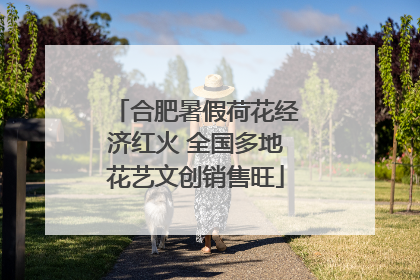 合肥暑假荷花经济红火 全国多地花艺文创销售旺