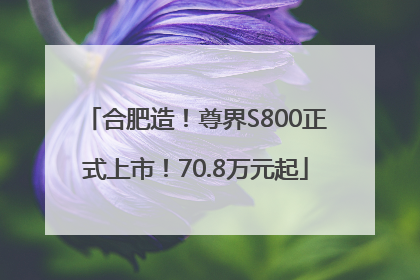 合肥造！尊界S800正式上市！70.8万元起