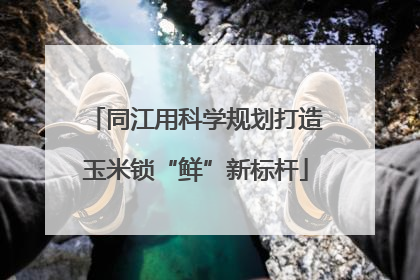 同江用科学规划打造玉米锁“鲜”新标杆
