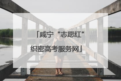 咸宁“志愿红”织密高考服务网