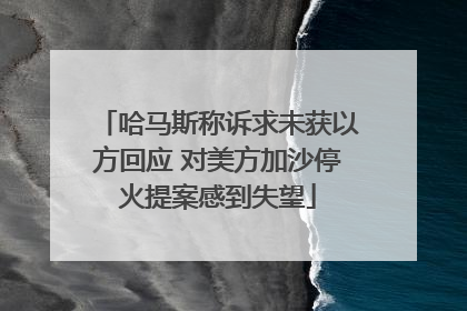 哈马斯称诉求未获以方回应 对美方加沙停火提案感到失望