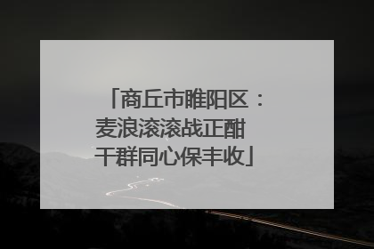商丘市睢阳区：麦浪滚滚战正酣 干群同心保丰收