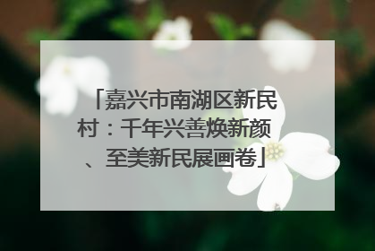 嘉兴市南湖区新民村：千年兴善焕新颜、至美新民展画卷