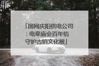 国网庆阳供电公司：电牵庙会百年情 守护古镇文化根