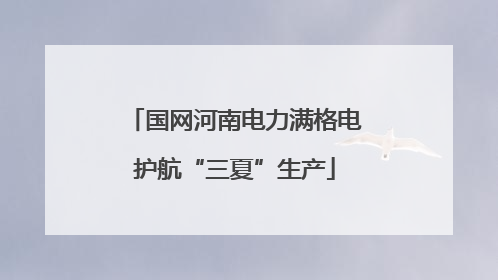 国网河南电力满格电护航“三夏”生产