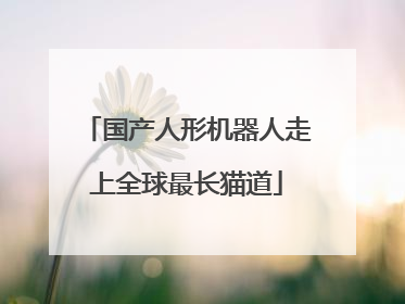 国产人形机器人走上全球最长猫道