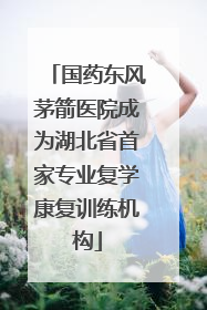 国药东风茅箭医院成为湖北省首家专业复学康复训练机构