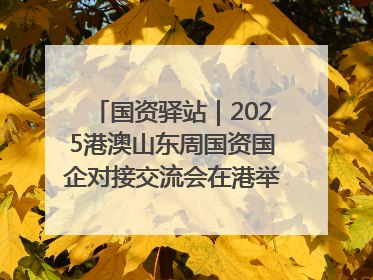 国资驿站｜2025港澳山东周国资国企对接交流会在港举行；山东黄金成功在境外发行3亿美元绿色债券