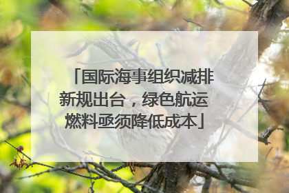 国际海事组织减排新规出台，绿色航运燃料亟须降低成本