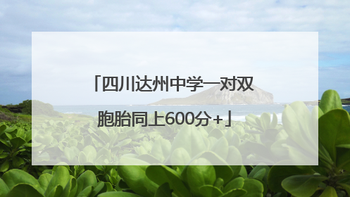 四川达州中学一对双胞胎同上600分+
