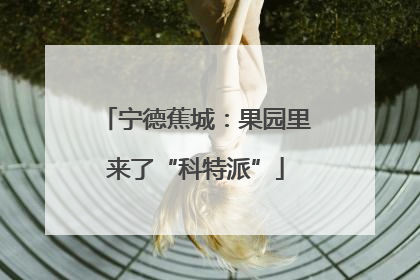 宁德蕉城：果园里来了“科特派”