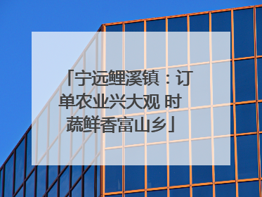 宁远鲤溪镇：订单农业兴大观 时蔬鲜香富山乡