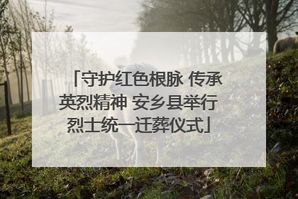 守护红色根脉 传承英烈精神 安乡县举行烈士统一迁葬仪式