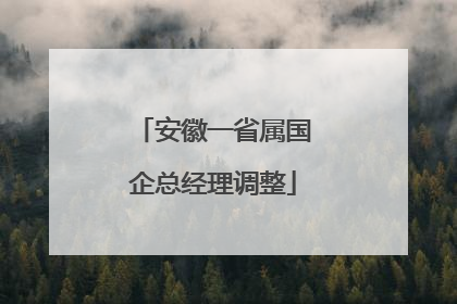 安徽一省属国企总经理调整