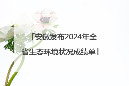 安徽发布2024年全省生态环境状况成绩单