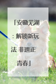 安徽芜湖：解锁新玩法 非遗正青春