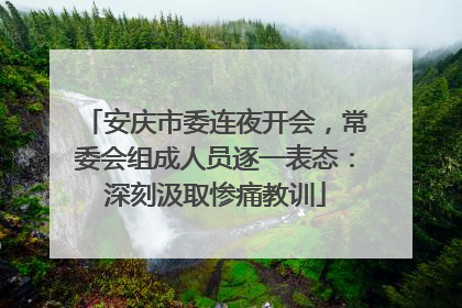 安庆市委连夜开会，常委会组成人员逐一表态：深刻汲取惨痛教训