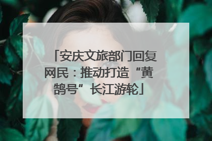 安庆文旅部门回复网民：推动打造“黄鹄号”长江游轮