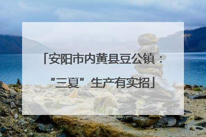 安阳市内黄县豆公镇：“三夏”生产有实招
