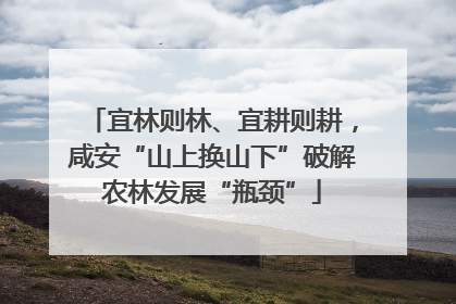 宜林则林、宜耕则耕，咸安“山上换山下”破解农林发展“瓶颈”