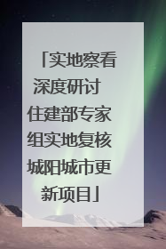 实地察看深度研讨 住建部专家组实地复核城阳城市更新项目