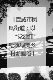 宣威市凤凰街道：以“党建红”绘就绿美乡村新画卷