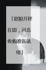 夏粮开秤在即，河北收购准备就绪