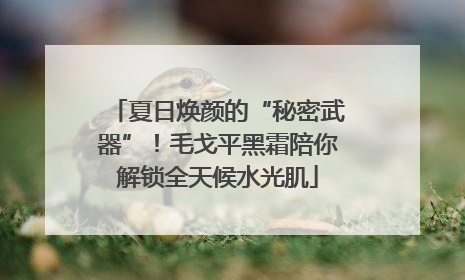 夏日焕颜的“秘密武器”！毛戈平黑霜陪你解锁全天候水光肌