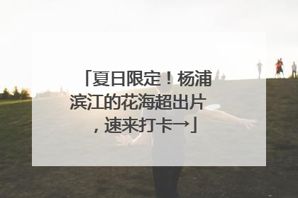 夏日限定！杨浦滨江的花海超出片，速来打卡→