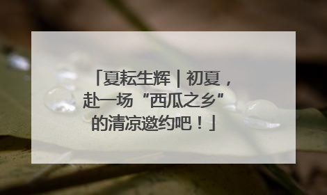 夏耘生辉｜初夏，赴一场“西瓜之乡”的清凉邀约吧！