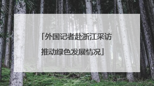 外国记者赴浙江采访推动绿色发展情况